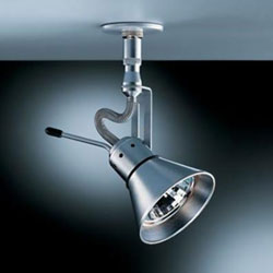 Ceiling Light Fixture