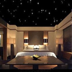 Fiber Optic Lighting