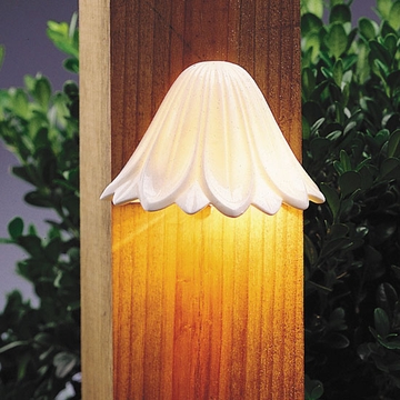 cutoff light fixture